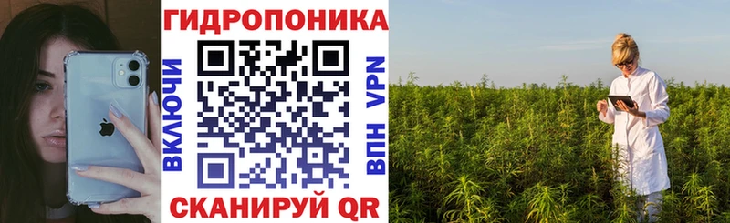 Купить где  Бронницы  Конопля White Widow 